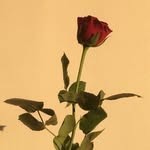 Anna Galli - @_annagalli_ - Instagram