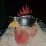 anna costanza gallina - @lagallinss - Instagram