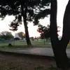 Anna Gallina - @anna.gallina8 - TikTok