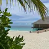 Anna.gallina.05 - @anna.gallina.05 - TikTok