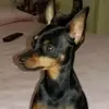 annagallinaro426 - @annagallinaro426 - TikTok