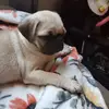annagamboa357 - @annagamboa357 - TikTok