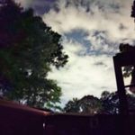 Anna Gambrell - @gambrell7805 - Instagram