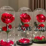 Ana Gamino - Facebook