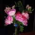 Anna Gaona - Facebook