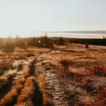 Anna Garbe Photography - @annagarbephotography - Instagram