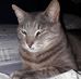 Anna Garbi - Facebook