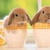Anna Garder - Facebook