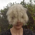 Anna Charlotta Gardiner - @annagardinerartist - Instagram