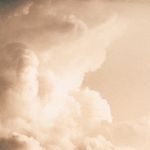 Anna Gardiner - @fallinglillies - Instagram
