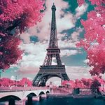ANNA GARIBYAN - @annagaribyan5910 - Instagram