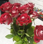 Anna Garkusha - Facebook