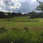 Anna Garnett - @anna_garnett.06 - Instagram