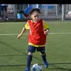 annagarofano736 - @annagarofano736 - TikTok