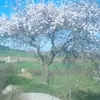 annagraugarriga - @annagrauggarriga - TikTok