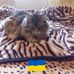 Anna Gasior - Facebook