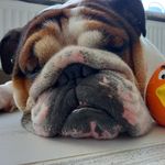 Anna Fedorowicz-gaska - @bubbelbad_ - Instagram