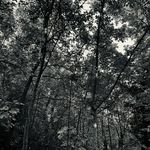 A🕊️ - @anna.gattii - Instagram