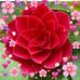 Anna Gatt - Facebook