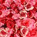 Anna Gatt - Facebook