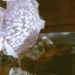Anna Gatto - @annagatto76 - Instagram