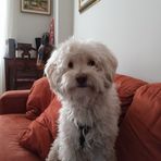 Anna Gaudio - Facebook