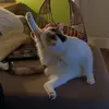 Anna Gautier - @anna.gautierr - TikTok