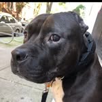 LewLew - @anna.gaynor - Instagram
