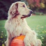 Anna Treasa Lura Gear - @annagear123 - Instagram