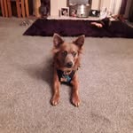 Anna gebbie - @schliechgirl101 - Instagram