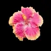 annkaaaa - @annagedenidze - TikTok