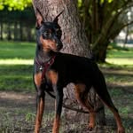 Gedeon Anna - @gedeon_anna12 - Instagram