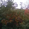 kasper - @anna.geissler64 - TikTok