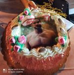Anna Genchi - Facebook