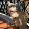 😎 - @anna.geraci45 - TikTok