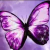 Anna Geraci359 - @annageraci1967 - TikTok