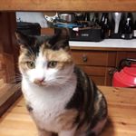 anna geraci - @geraci.anna66 - Instagram