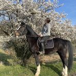 Anna Gerda Illés - Facebook