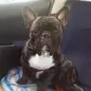 Annamaria Geremia - @annamaria.geremia - TikTok