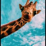 Anna Gerhardt - @gerhardt7307 - Instagram