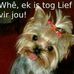 Anna Gericke - Facebook