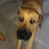 anna - @anna.geske - TikTok