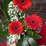 Anna Gessner - @anna.gessner.796 - Instagram