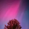 anna gilchrist - @anna.banana3266 - TikTok