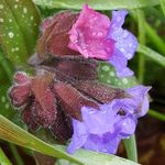 Anna Gillard - @anna_textiles - Instagram