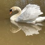 Anna Gillard - @anna_gillard_photos_1940 - Instagram