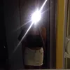 Anna Gilpin - @annagilpin - TikTok