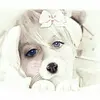 annagilpin417 - @annagilpin417 - TikTok