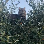 Anna - @anna_giunta_62 - Instagram