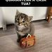Anna Giusti - Facebook